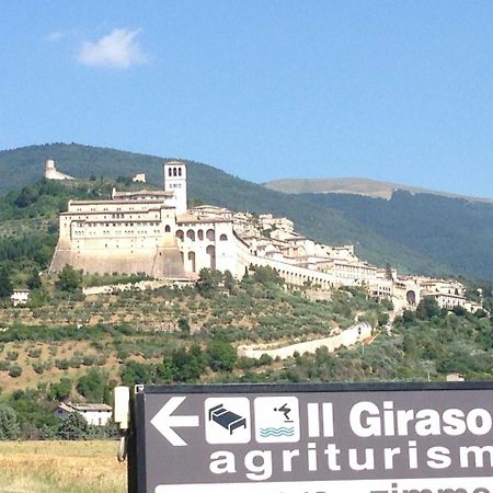 Agriturismo Il Girasole Assisi Dış mekan fotoğraf
