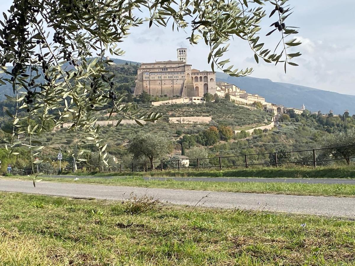 Agriturismo Il Girasole Assisi Dış mekan fotoğraf