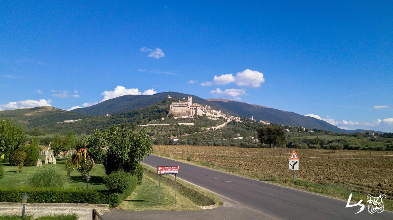 Agriturismo Il Girasole Assisi Dış mekan fotoğraf