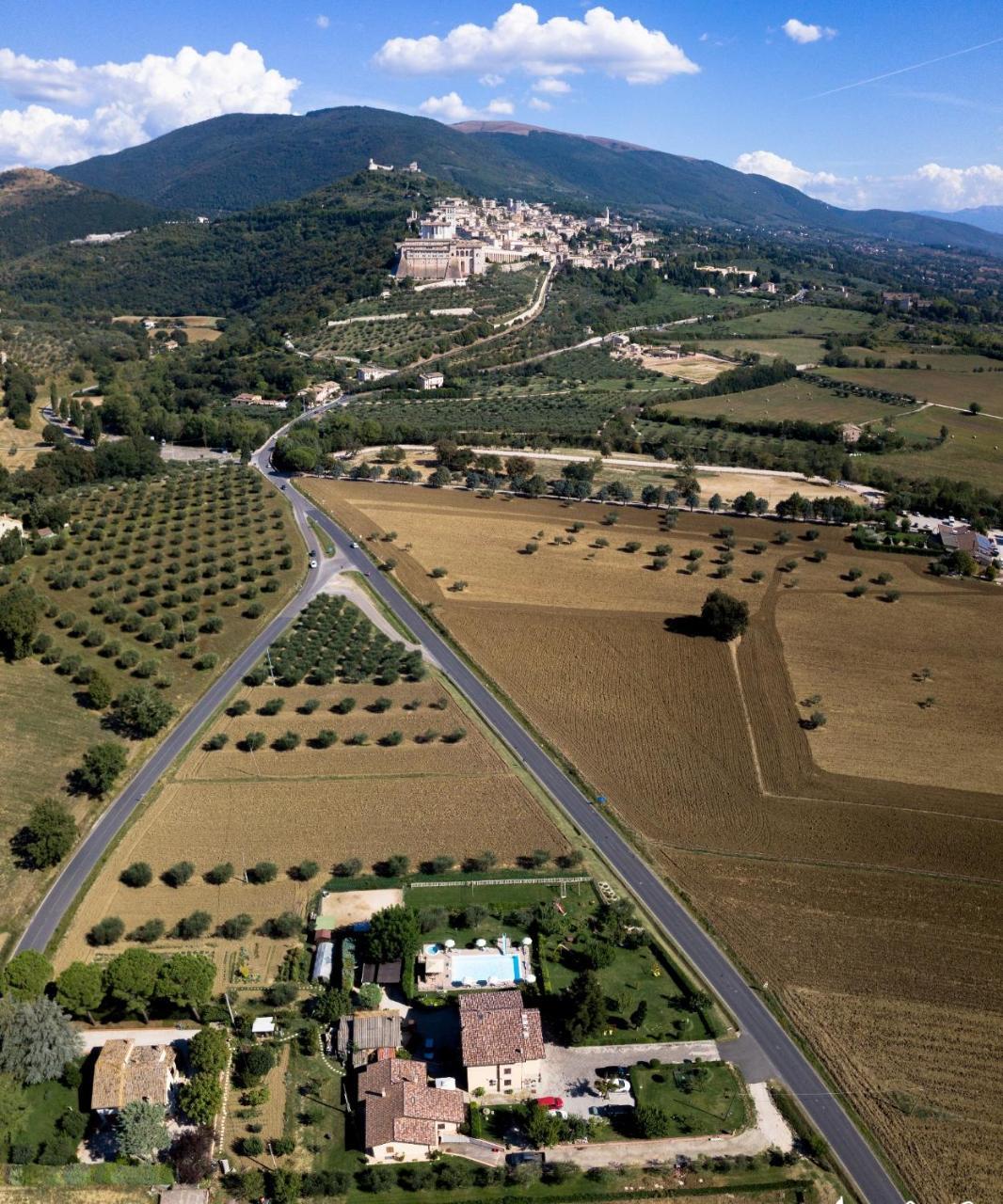 Agriturismo Il Girasole Assisi Dış mekan fotoğraf