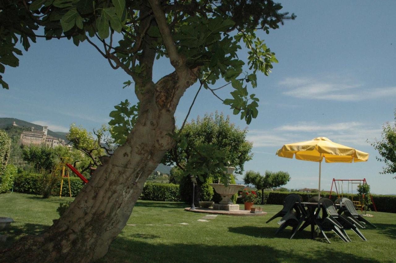 Agriturismo Il Girasole Assisi Dış mekan fotoğraf