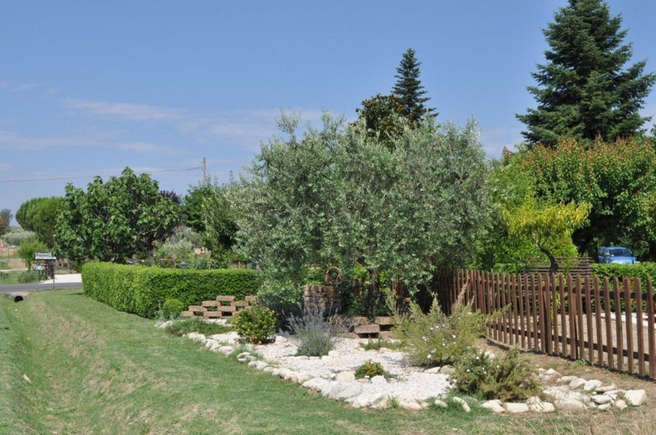 Agriturismo Il Girasole Assisi Dış mekan fotoğraf