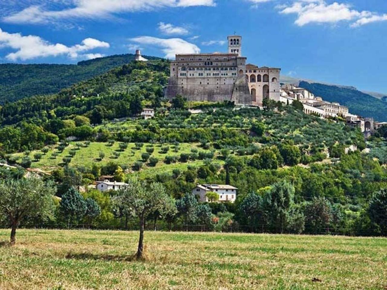 Agriturismo Il Girasole Assisi Dış mekan fotoğraf